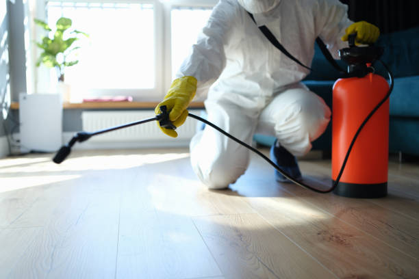 Reliable Odor Removal contractor in Waterville, WA by Trauma Clean Pros